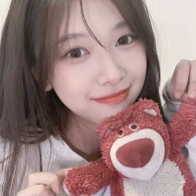 宠物小精灵xy破解版下载