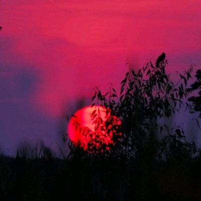 血咒之城暗夜仪式手游